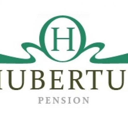Pension Hubertus Aš エクステリア 写真